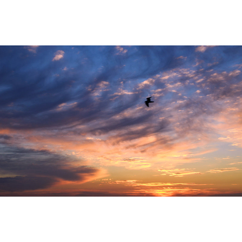 Cloud and Sky Mural Decal Modern Stain Proof Bedroom Wall Decor, Made to Measure