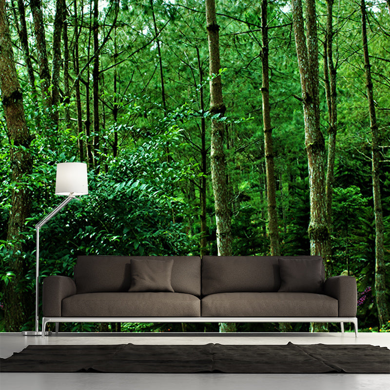 Green Forest Mural Decal Modern Stain Proof Bedroom Wall Decor, Made to Measure