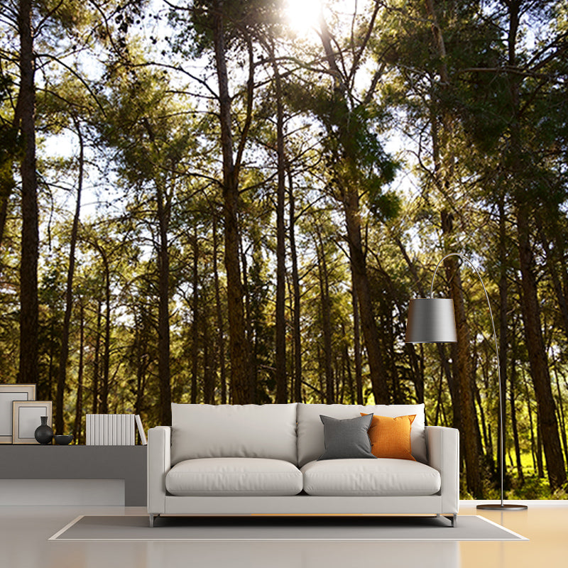 Green Forest Mural Decal Modern Stain Proof Bedroom Wall Decor, Made to Measure