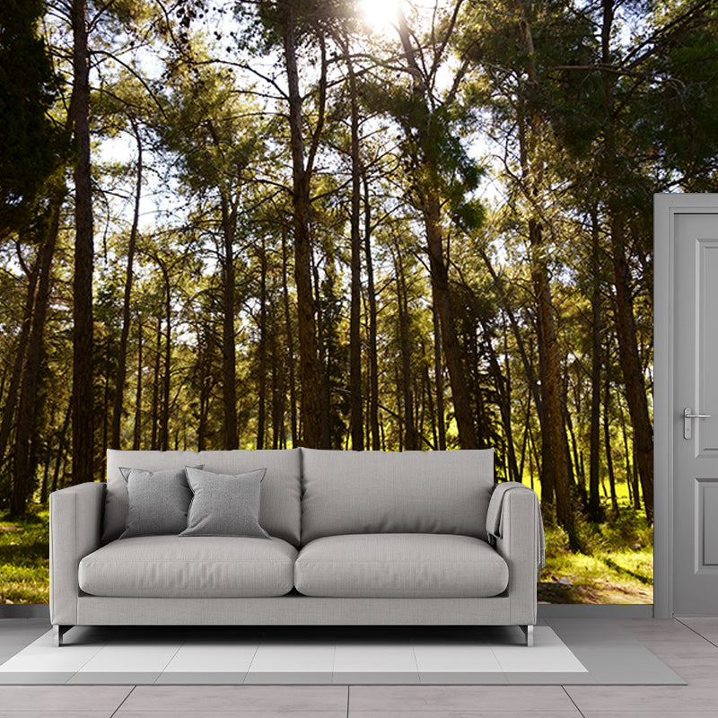 Green Forest Mural Decal Modern Stain Proof Bedroom Wall Decor, Made to Measure