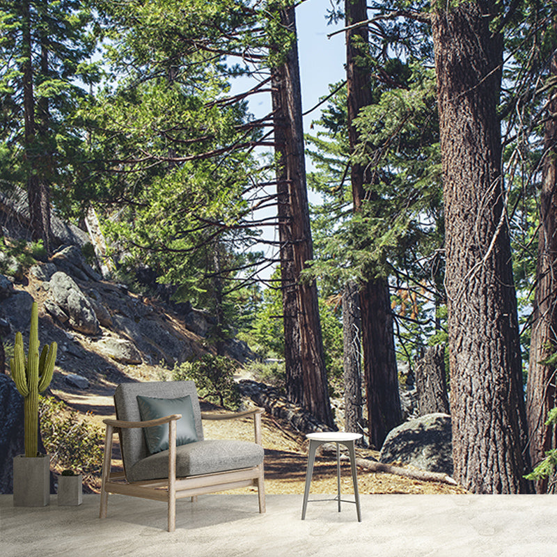 Green Forest Mural Decal Modern Stain Proof Bedroom Wall Decor, Made to Measure