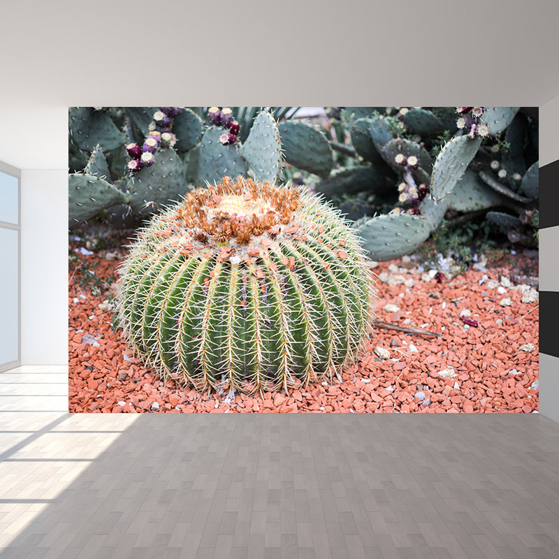 Tropical Cactus Mural Personalized Size Wall Covering for Sleeping Room