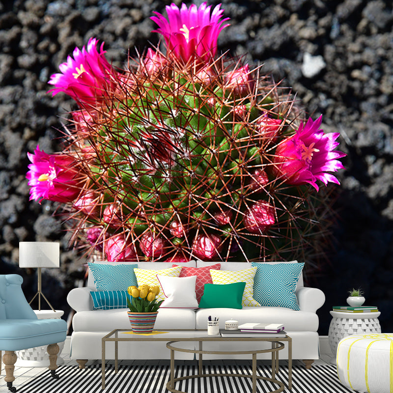 Tropical Cactus Mural Personalized Size Wall Covering for Sleeping Room