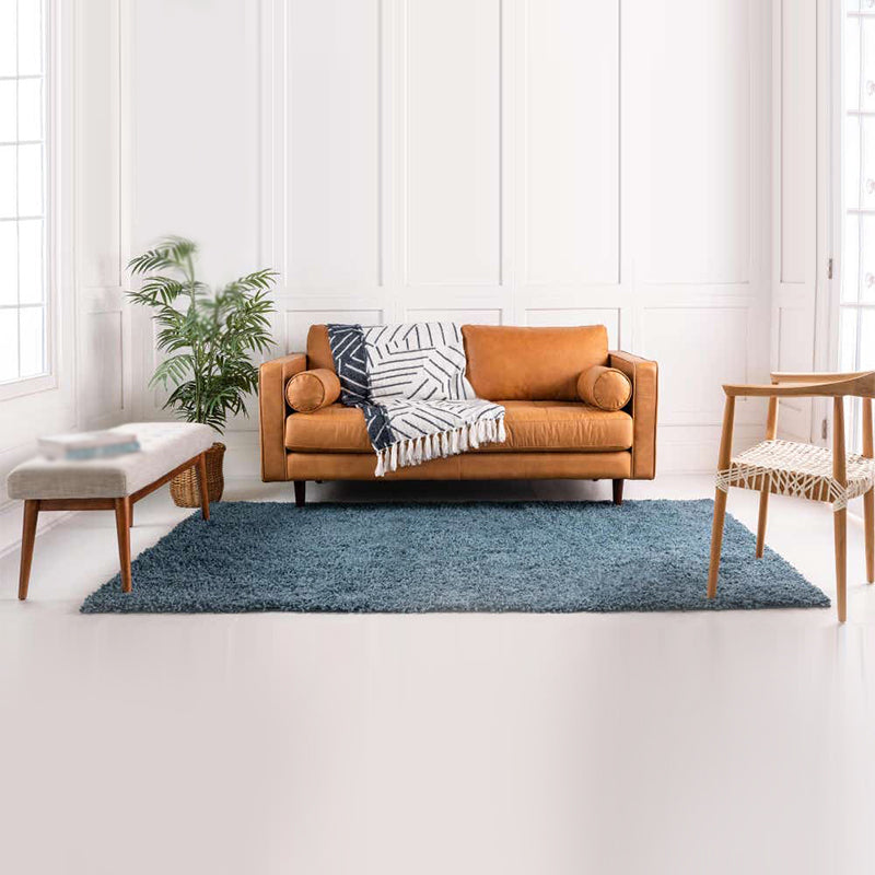 Brown Modern Carpet Solid Color Polyester Rug Easy Care Washable Rug for Living Room