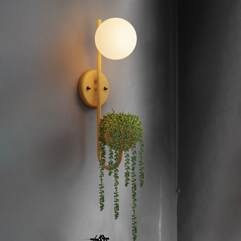 1 leichte Ballleuchte Lampe Industriegelb/blau/grünes Metall LED -Pflanzen Wandmontage Beleuchtung für Restaurant