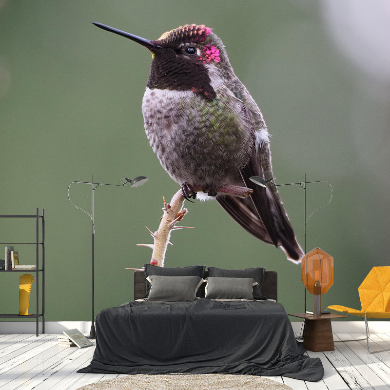 Hummingbird Wall Mural Wallpaper Mildew Resistant Wall Covering for Decoration