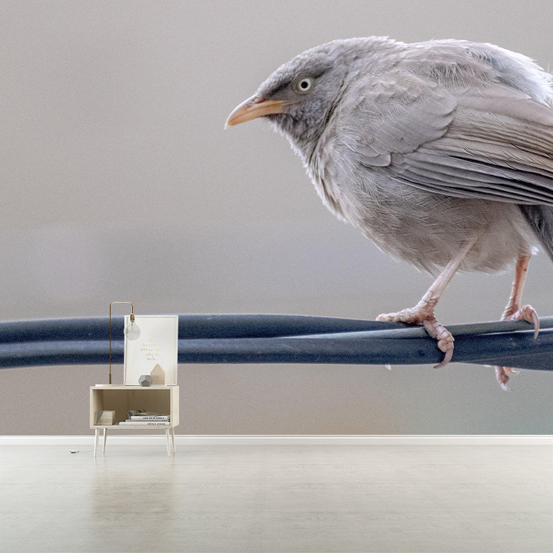 Lovely Bird Wall Mural Wallpaper Mildew Resistant Wall Covering for Decoration