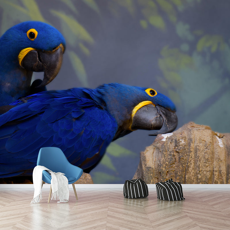 Lovely Parrot Wall Mural Wallpaper Mildew Resistant Wall Covering for Decoration