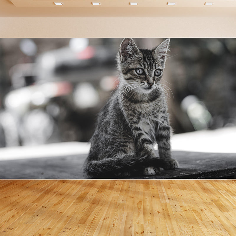 Lovely Cat Wall Mural Wallpaper Mildew Resistant Wall Covering for Decoration