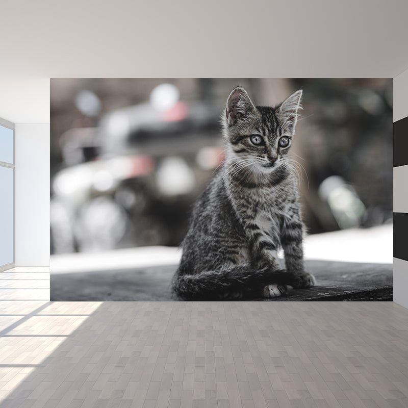 Lovely Cat Wall Mural Wallpaper Mildew Resistant Wall Covering for Decoration