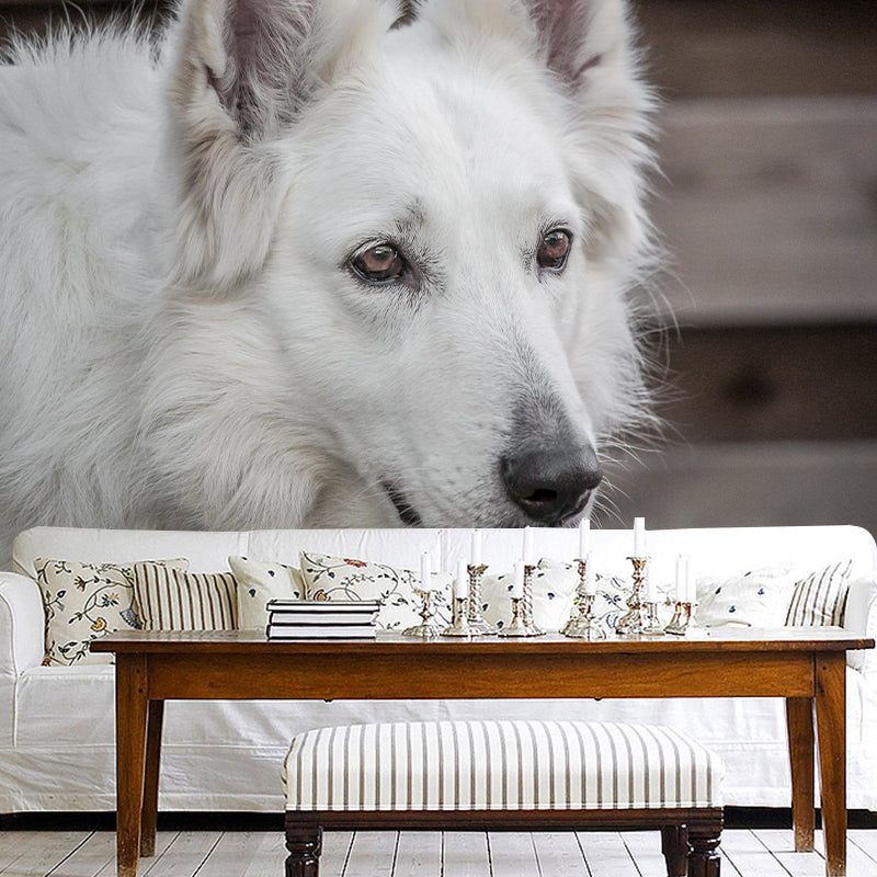 Lovely Dog Wall Mural Wallpaper Mildew Resistant Wall Covering for Decoration