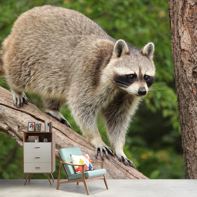 Lovely Raccoon Wall Mural Wallpaper Mildew Resistant Wall Covering for Decoration