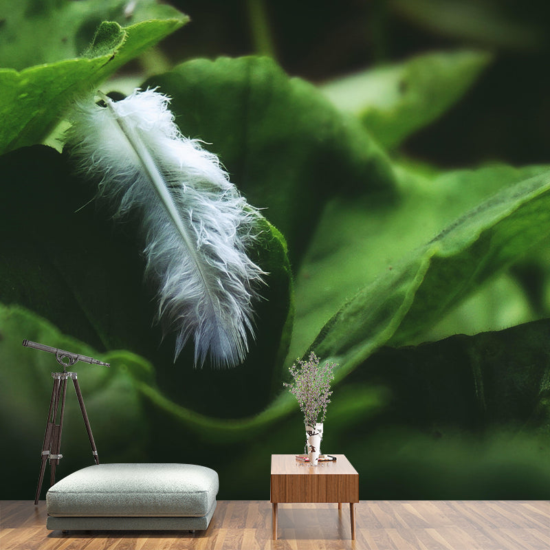 Soft Bird Feather Wall Mural Wallpaper Mildew Resistant Wall Covering for Decoration