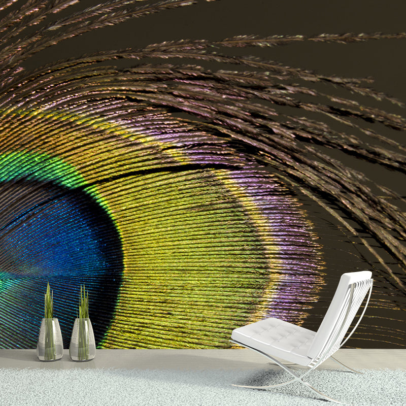 Peacock Feather Mural Wallpaper Mildew Resistant Wall Covering for Decoration