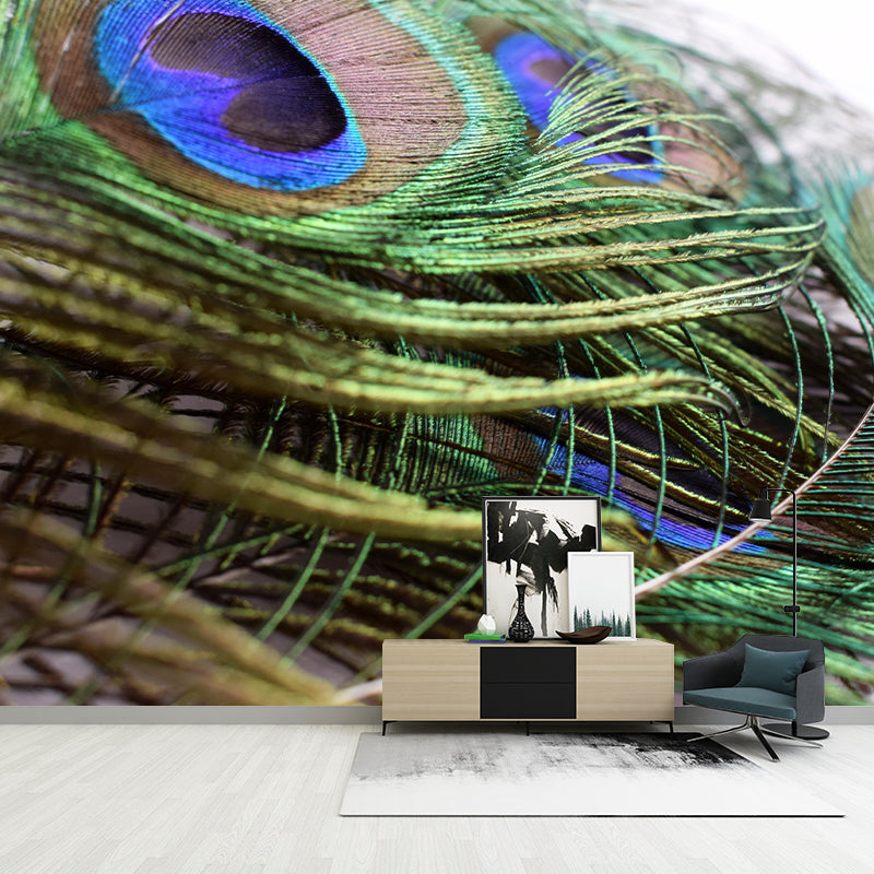 Peacock  Feather Wall Mural Wallpaper Mildew Resistant Wall Covering for Decoration