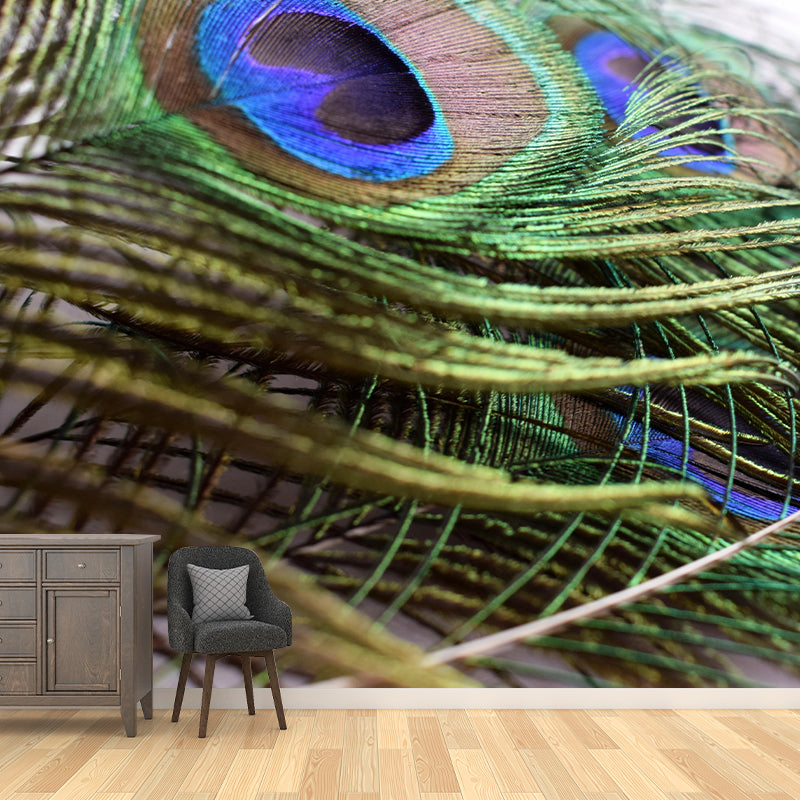 Peacock  Feather Wall Mural Wallpaper Mildew Resistant Wall Covering for Decoration