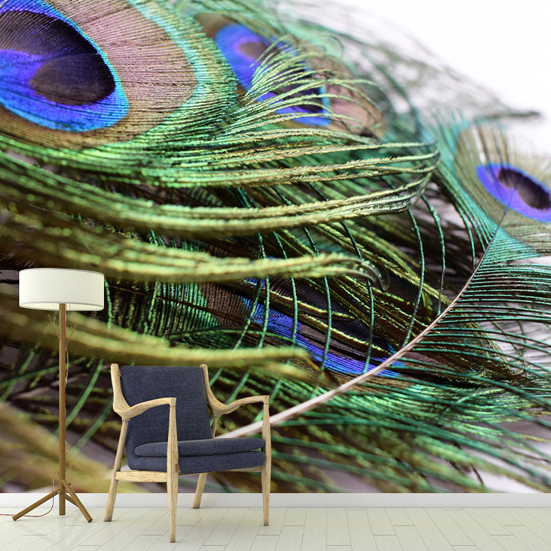 Peacock  Feather Wall Mural Wallpaper Mildew Resistant Wall Covering for Decoration