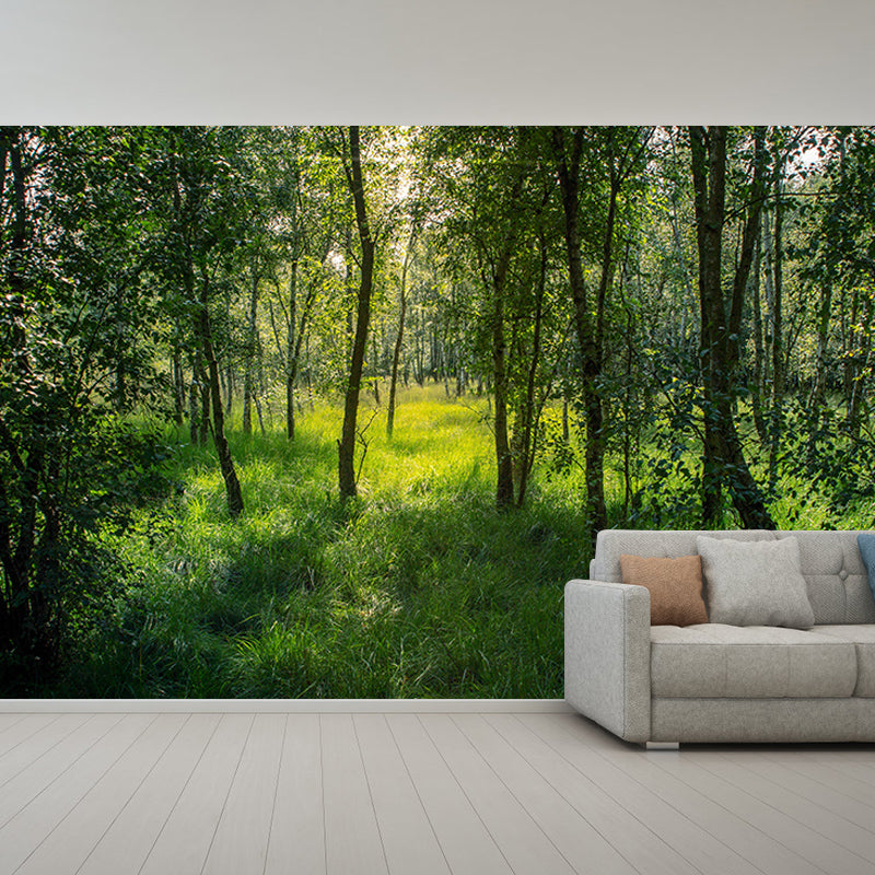 Dense Forest Trees Moisture Resistant Contemporary Bedroom Wall Covering