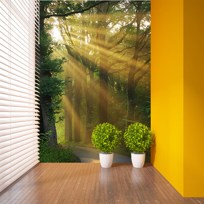Dense Forest Trees Moisture Resistant Contemporary Bedroom Wall Covering