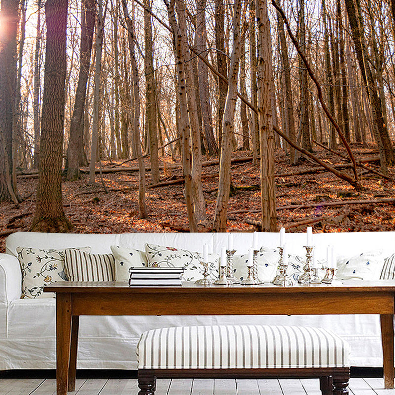 Customized Forest Mural Wall Covering Decorative Mildew Resistant for Reading Room