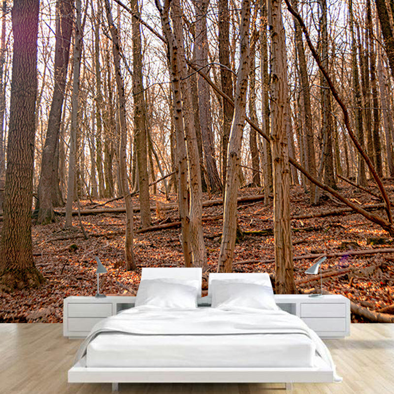 Customized Forest Mural Wall Covering Decorative Mildew Resistant for Reading Room