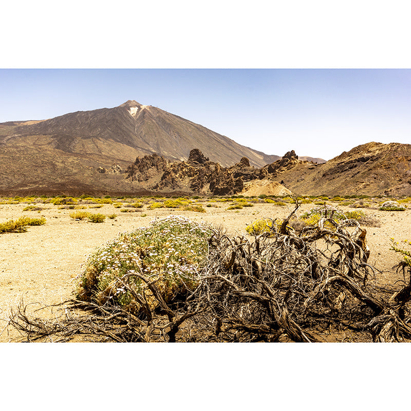 Desolate Scenery Mural Stain Resistant for Living Room Wall Decor, Made to Measure