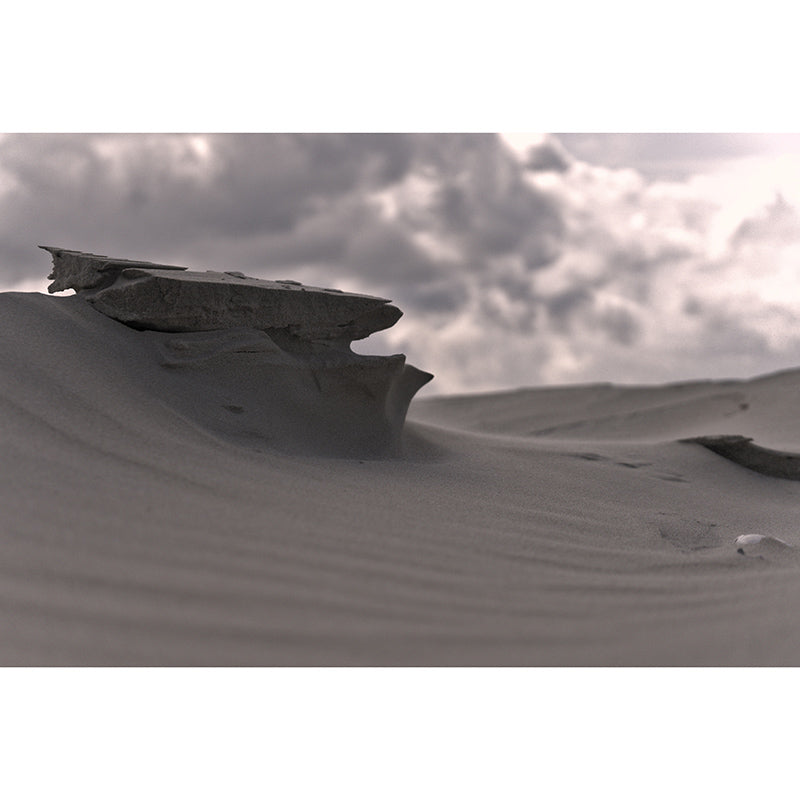 Desolate Scenery Mural Stain-Resistant Wall Decor for Guest Room, Personalized Size