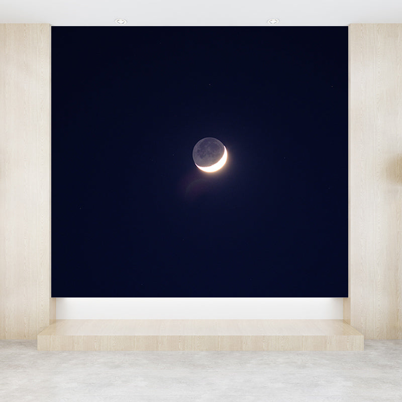 Contemporary Cosmos Wall Mural in Dark Color for Living Room, Personalized Size Available