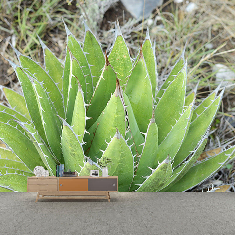 Tropical Plants Mural Wallpaper Moisture-Resistant Wall Covering for Bedroom