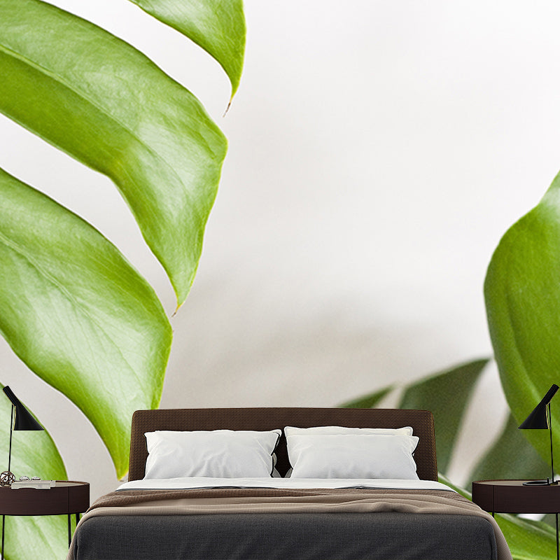 Monstera Mural Wallpaper for Reading Room Stain Resistant, Personalized Size