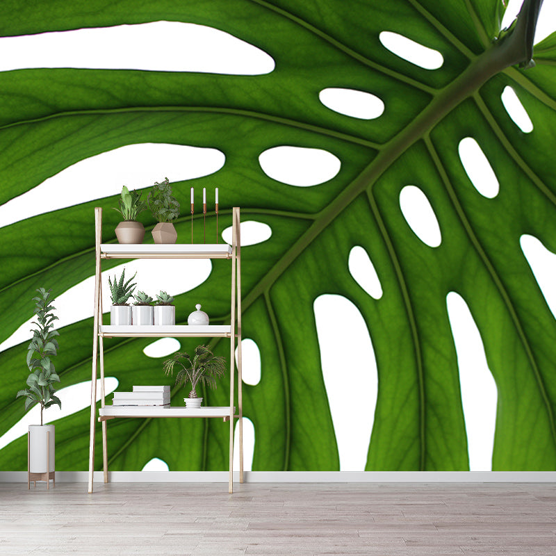 Monstera Mural Wallpaper for Reading Room Stain Resistant, Personalized Size