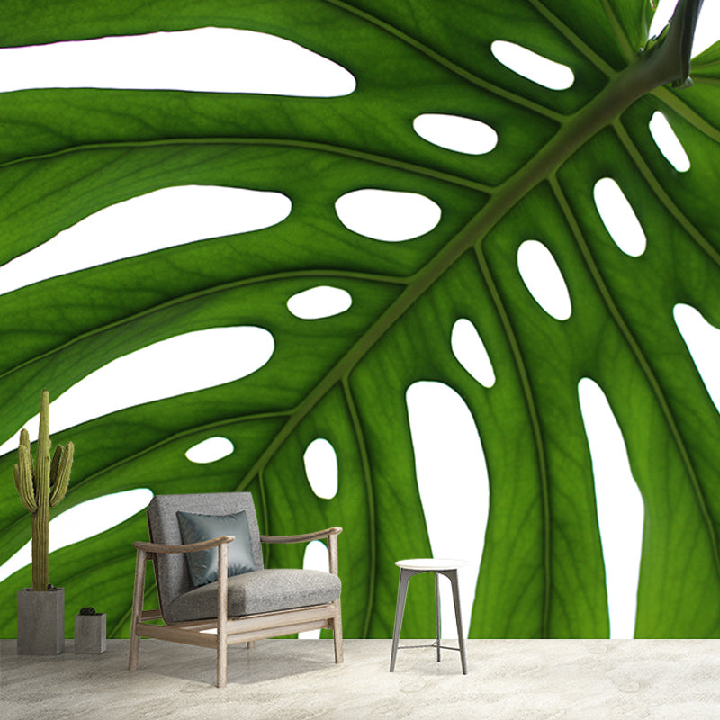 Monstera Mural Wallpaper for Reading Room Stain Resistant, Personalized Size