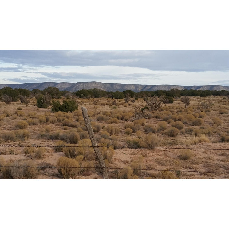 Horizontal Photography Desert Mural Environment Friendly Wallpaper for Home Decor