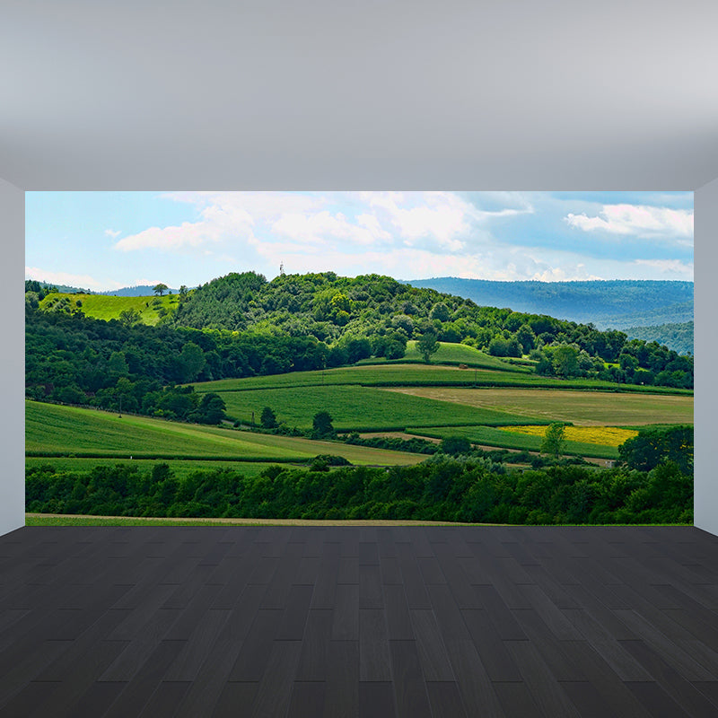 Beautiful Forest Mural Wallpaper Decorative Mildew Resistant Home Decor