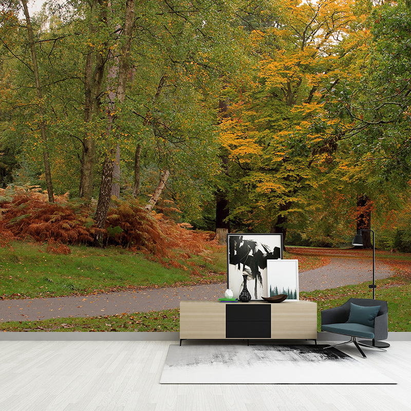 Contemporary Forest Mural Wallpaper Decorative Mildew Resistant Wall Covering