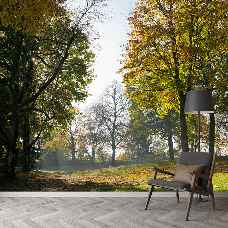 Beautiful Forest Mural Wallpaper Decorative Mildew Resistant Wall Decor