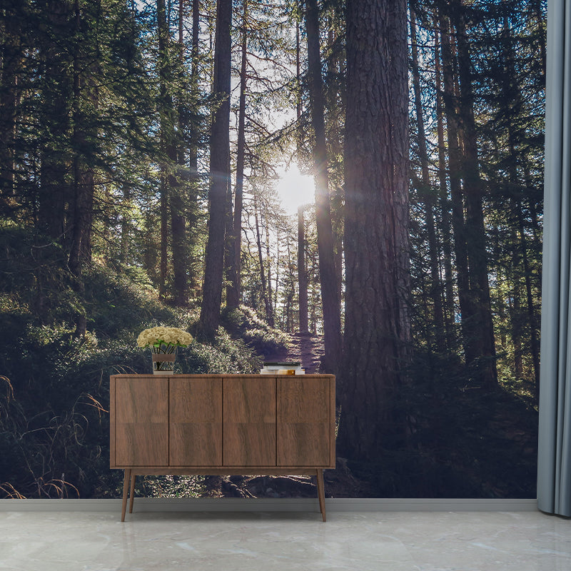 Forest Wall Mural Wallpaper Decorative Mildew Resistant Home Decor