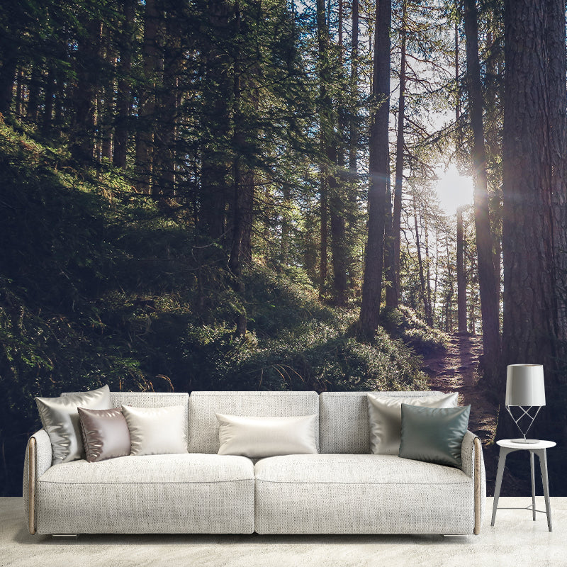 Forest Wall Mural Wallpaper Decorative Mildew Resistant Home Decor