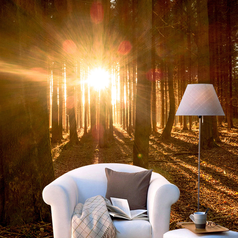 Photography Forest Mural Wallpaper Decorative Mildew Resistant Wall Decor