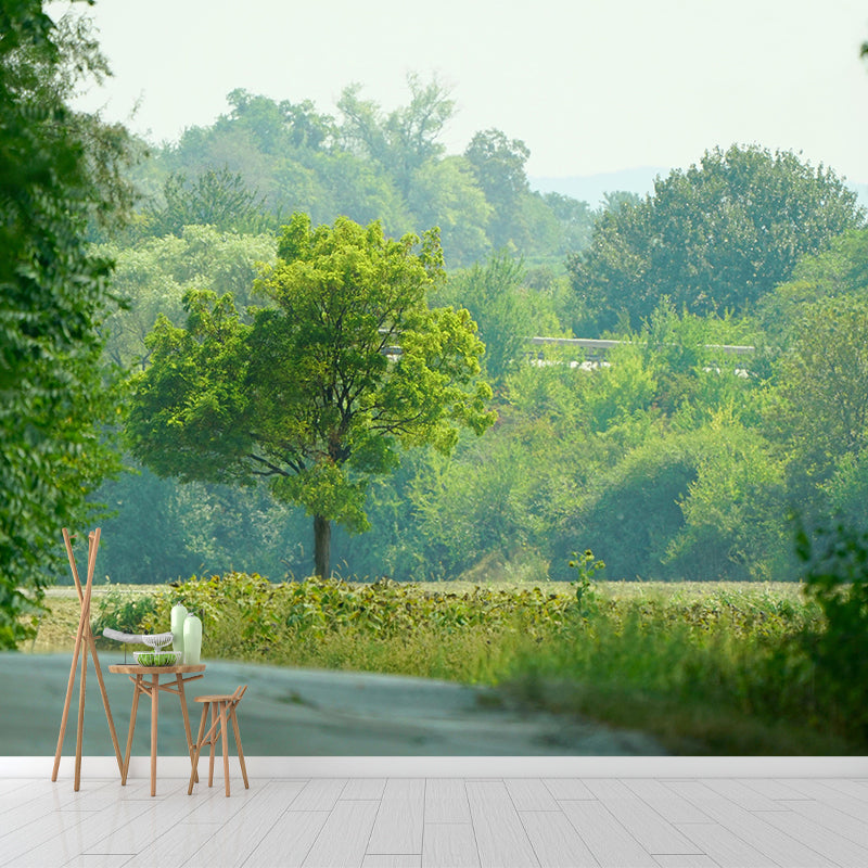 Photography Forest Mural Wallpaper Decorative Mildew Resistant Wall Decor