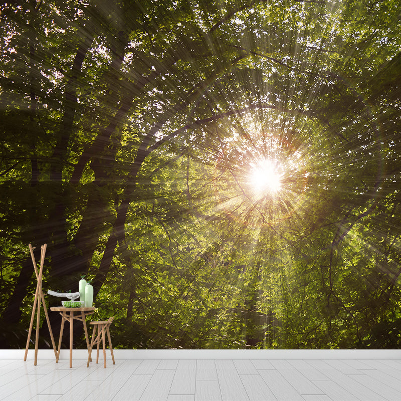 Contemporary Forest Mural Wallpaper Decorative Mildew Resistant Wall Decor