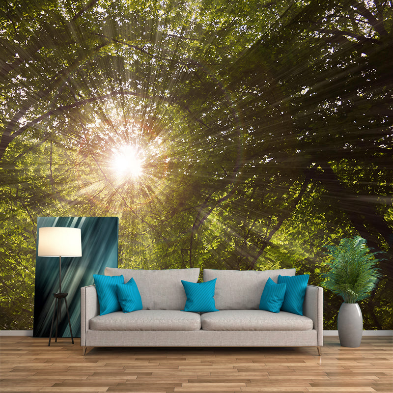 Contemporary Forest Mural Wallpaper Decorative Mildew Resistant Wall Decor