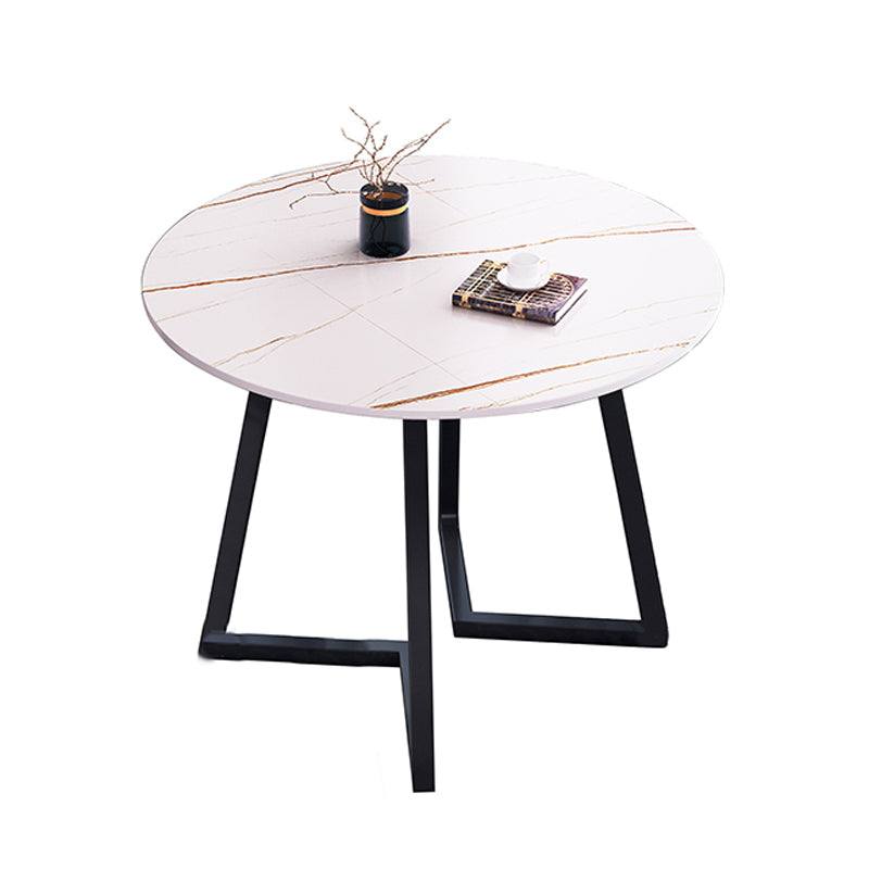 Round Traditional Luxury Dining Table Sintered Stone Table with Double Pedestal,31.5"L x 29.5"H