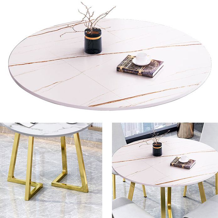 Round Traditional Luxury Dining Table Sintered Stone Table with Double Pedestal,31.5"L x 29.5"H