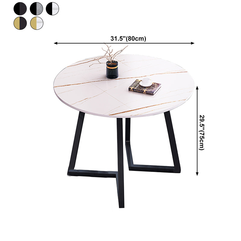 Round Traditional Luxury Dining Table Sintered Stone Table with Double Pedestal,31.5"L x 29.5"H