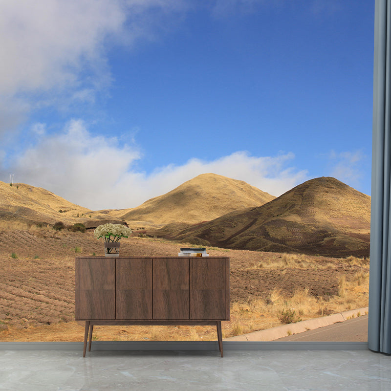 Desert Landscape Wall Mural Wallpaper Modern Style Mildew Resistant for Room