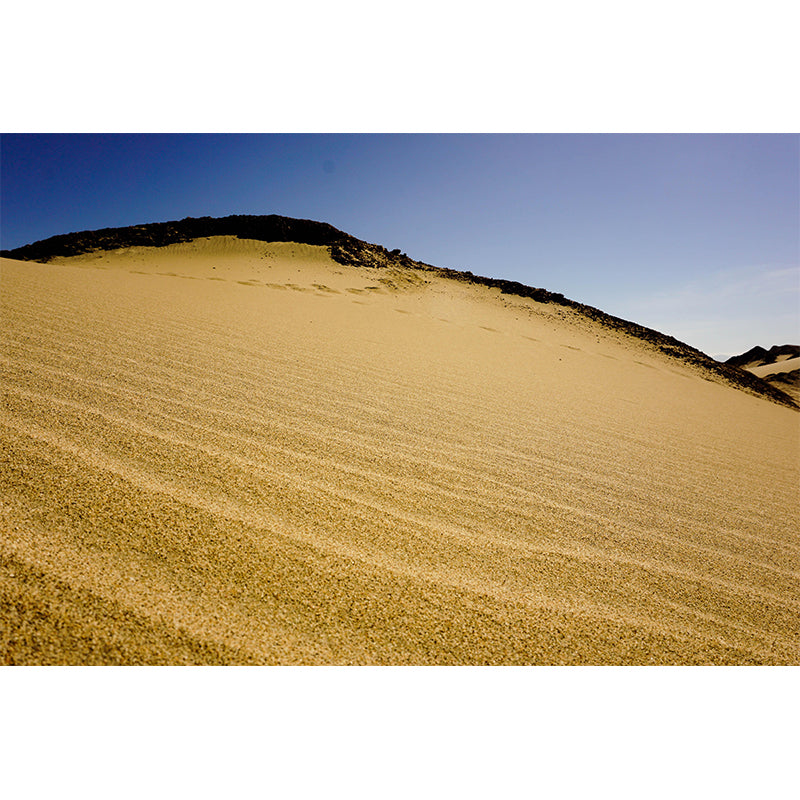 Desert Landscape Wall Mural Wallpaper Modern Style Mildew Resistant for Room