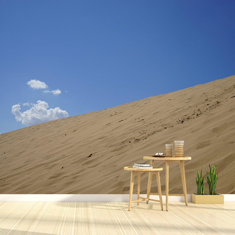 Modern Desert Wall Mural Wallpaper Mildew Resistant for Living Room