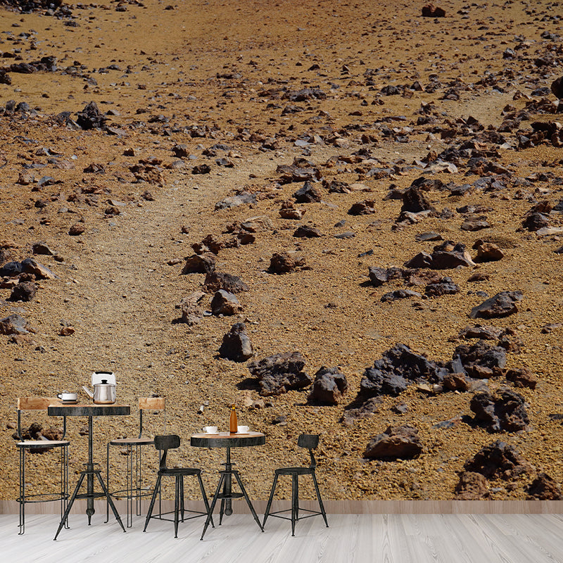 Modern Desert Wall Mural Wallpaper Mildew Resistant for Living Room