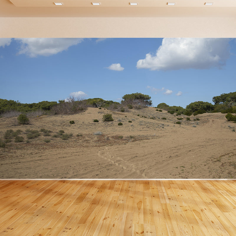 Desert Wall Mural Wallpaper Modern Style Mildew Resistant for Living Room